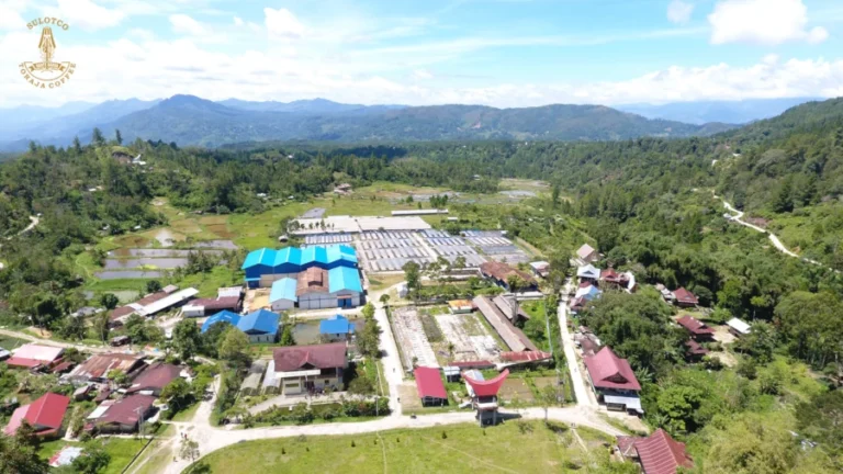 IMG D7C7F8DF 7711 DD9A 286F C4605C198391