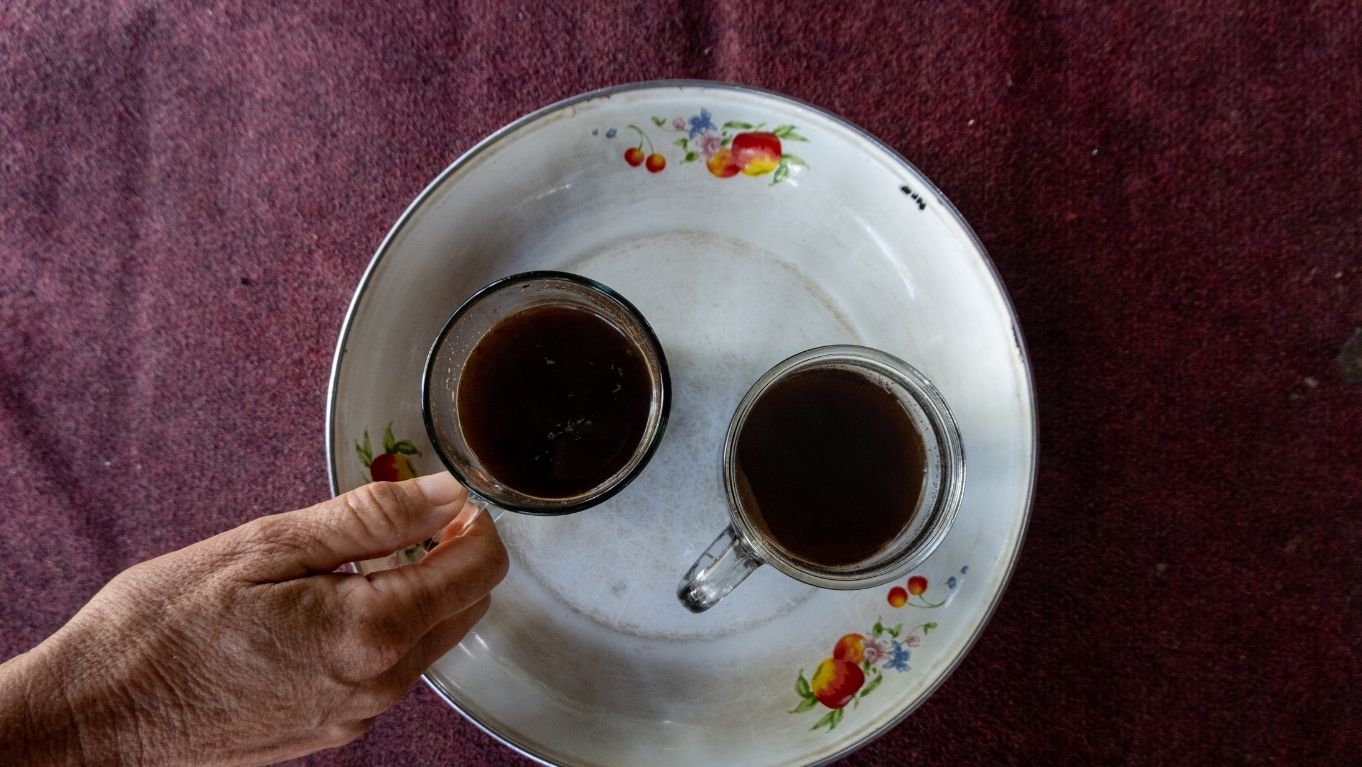 Mengenal Kopi Kintamani dengan Cita Rasa Unik Khas Bali 2 rasa kopi kintamani bali