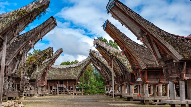sejarah dan cita rasa kopi toraja