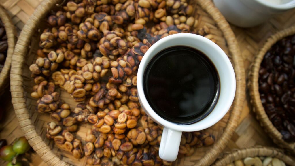 Mengenal Kopi Luwak, Jenis Kopi Nusantara yang Mendunia 2 Proses pembuatan kopi luwak