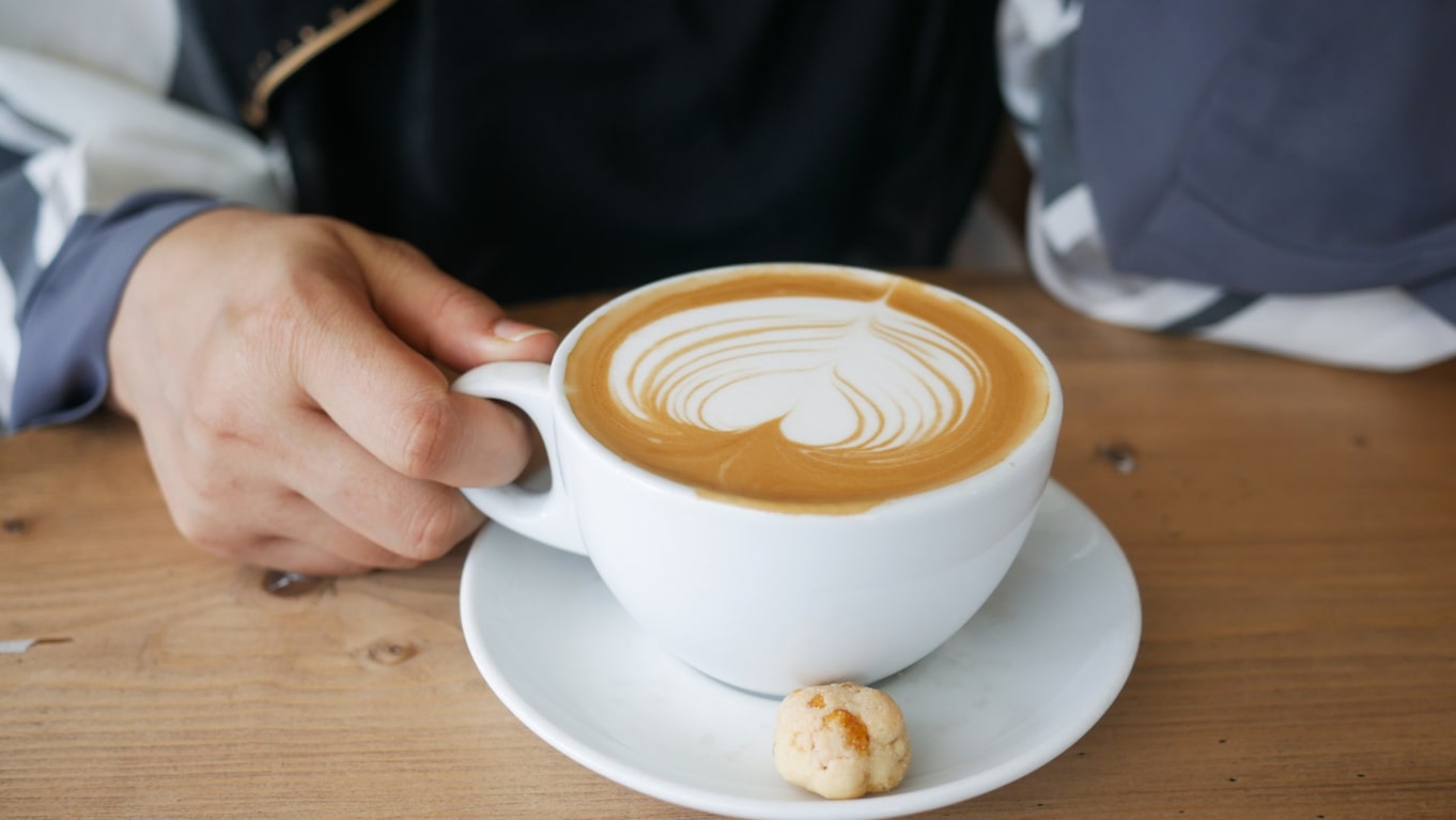 fakta unik tentang kopi